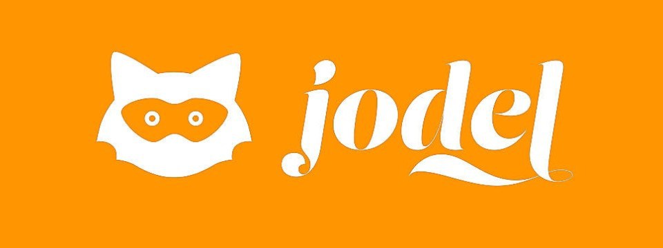 Business Intelligence Analyst
<br> <em> at Jodel Venture </em>